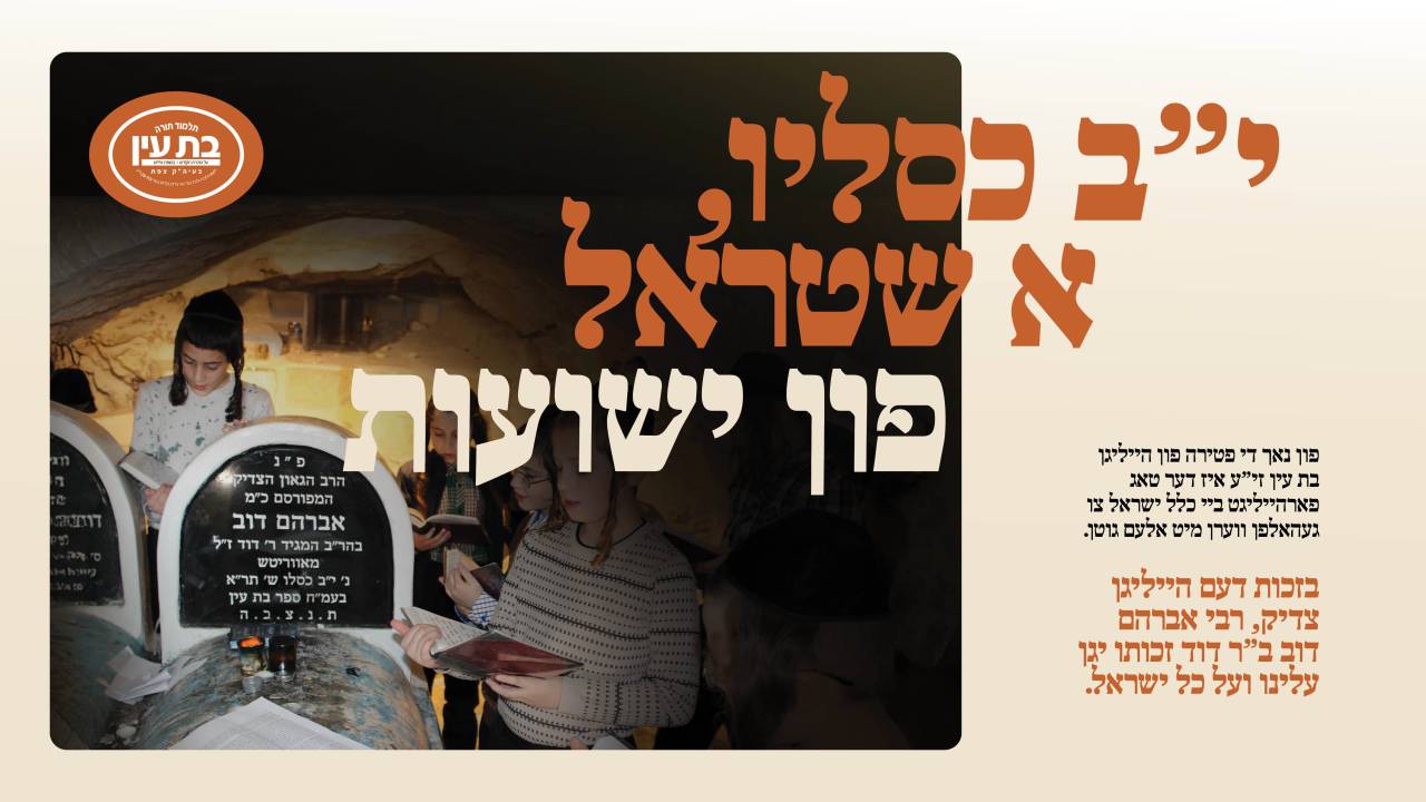 Bas Ayin | Dryve